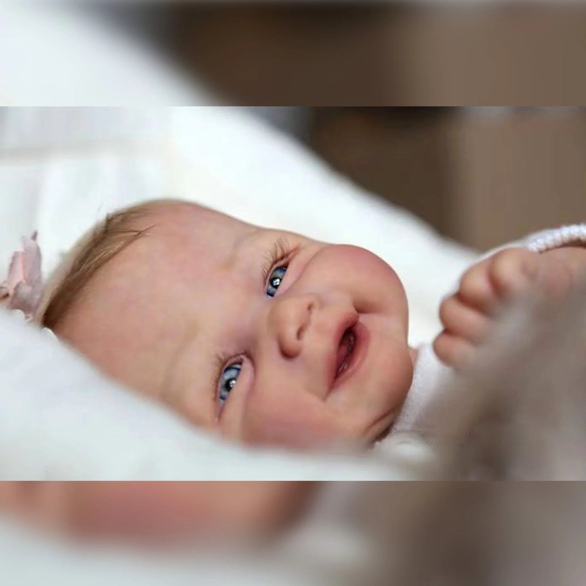 img_3042236