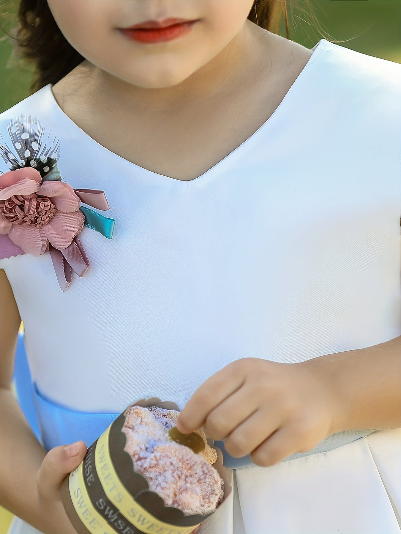 Rose Graphic Bow Tutu Dress for Toddler Girl