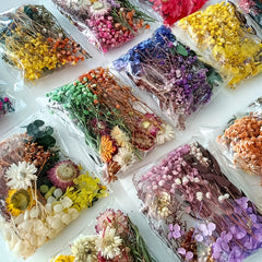 DIY Craft Mixed Dried Flowers for Arrangements Framing Resin Fillers