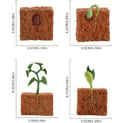 Farm Plant Life Cycle Figure Set Educational Toys Christmas Gift Learning