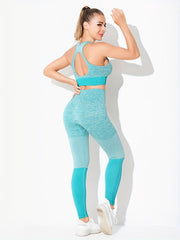Seamless Yoga Set for Women: Sports Bra & Leggings Suit