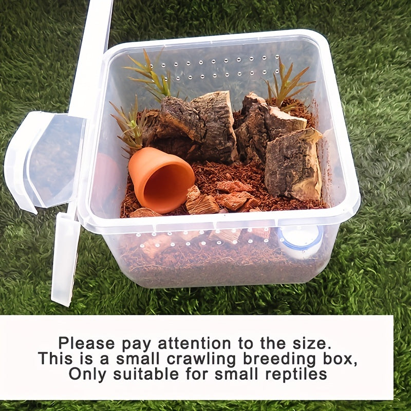 Enhance Pet Breeding: 8 Crawling Pets & Breeding Boxes