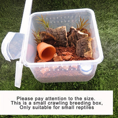 Enhance Pet Breeding: 8 Crawling Pets & Breeding Boxes