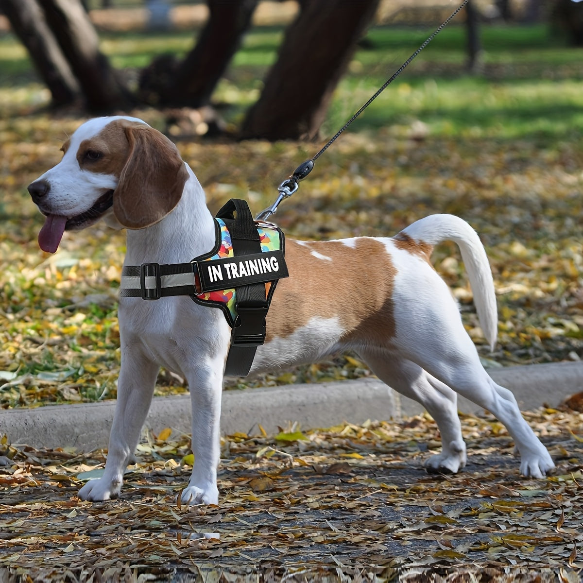 img_5510416