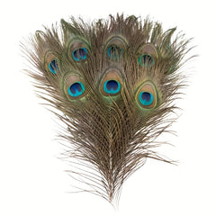 15pcs Artificial Peacock Feather 10-12 Inches DIY Handicra