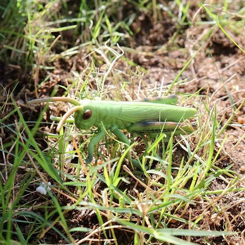 3-4 Inch Simulated Grasshopper Insect Model Toy - Christmas Halloween Gift