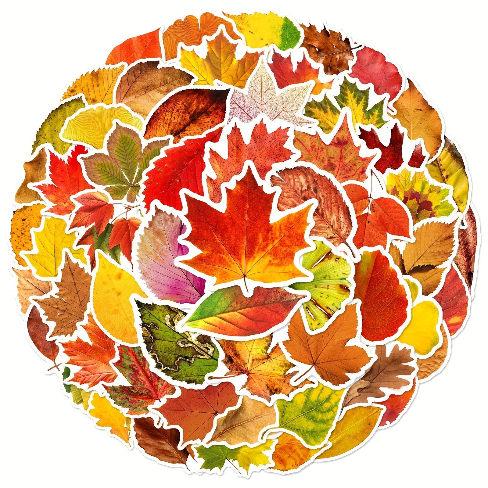 60pcs Leaf Graffiti Stickers DIY Pack for Guitar Skateboard Phone