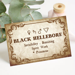 Set of 40 Vintage Witchcraft Herbs Flashcards with Meanings & Symbols
