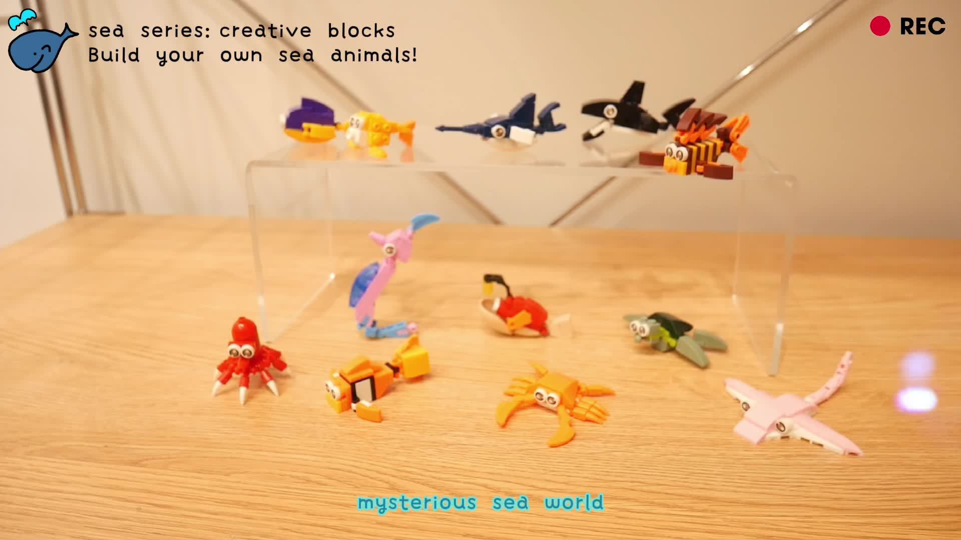 12pcs Educational Ocean Animal Building Blocks Set