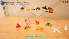 12pcs Educational Ocean Animal Building Blocks Set