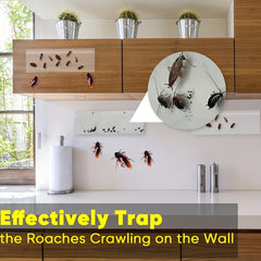 20pcs Sticky Cockroach Traps for Effective Insect Control