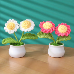 Handmade Crochet Wool Eternal Flower Daisy Tulip Gift
