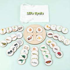 Montessori Life Cycle Board Educational Toy for Kids