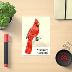 Birds Poster Hand Drawing Style For Kids Room Decor