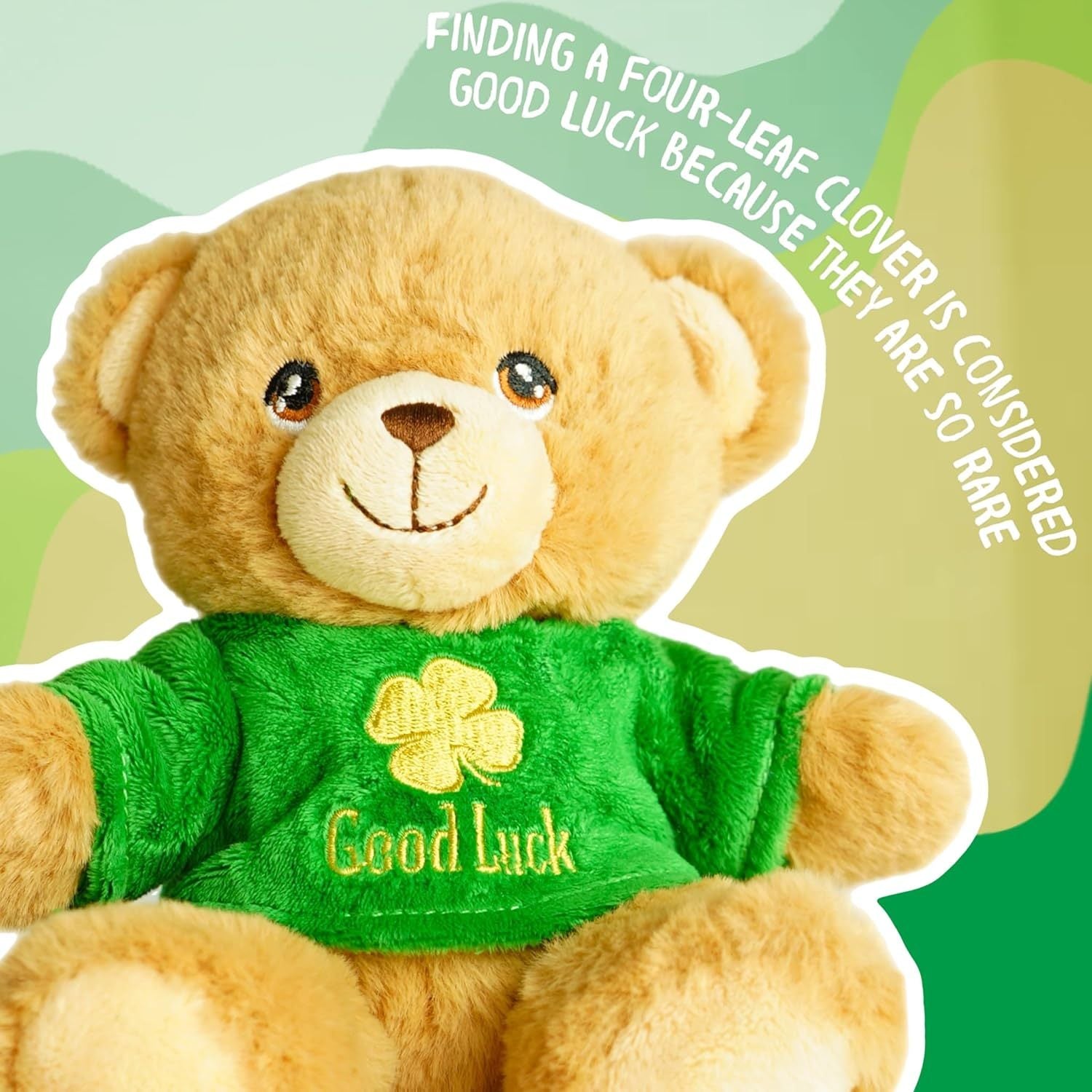 Deluxe Paws Gift Teddy Bears for Special Occassion's