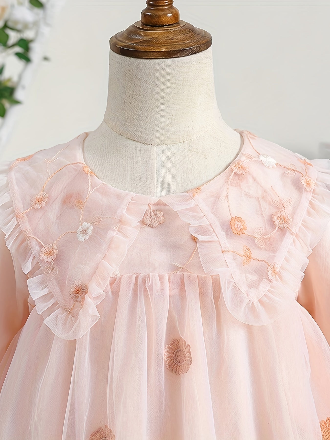 Blossoms Embroidery Mesh Collared Princess Dress For Girls