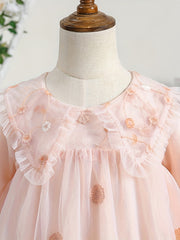 Blossoms Embroidery Mesh Collared Princess Dress For Girls