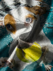 3D Print Dog Under Water Boy's T-shirt