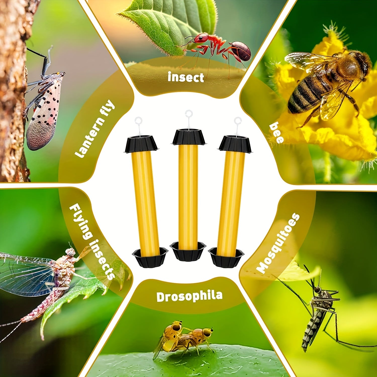2pcs Fly Stick Sticky Fly Trap Hanging Fly Traps Outdoor Fruit Fly Traps