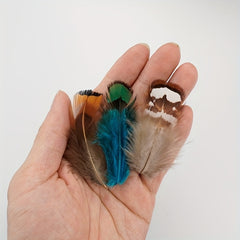 10pcs Mini Pheasant Feather for Cat Sticks & Dream Catcher