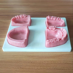 Dental Suture Practice Model for Training