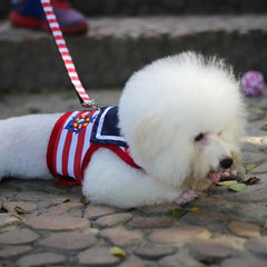 img_5536549