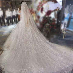 Wedding Veil with Long Trail Sparkling Shine for Ceremony