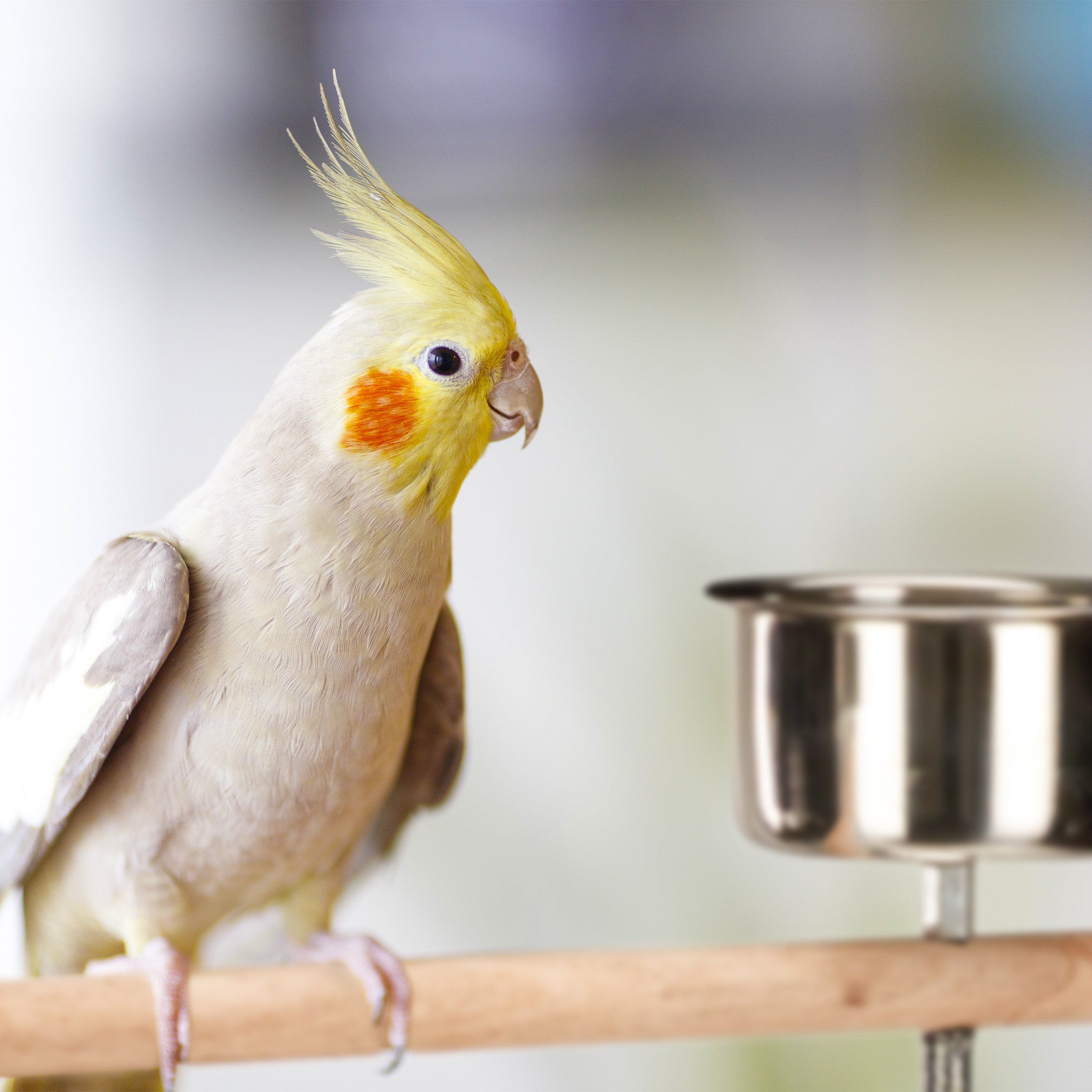 img_7490782