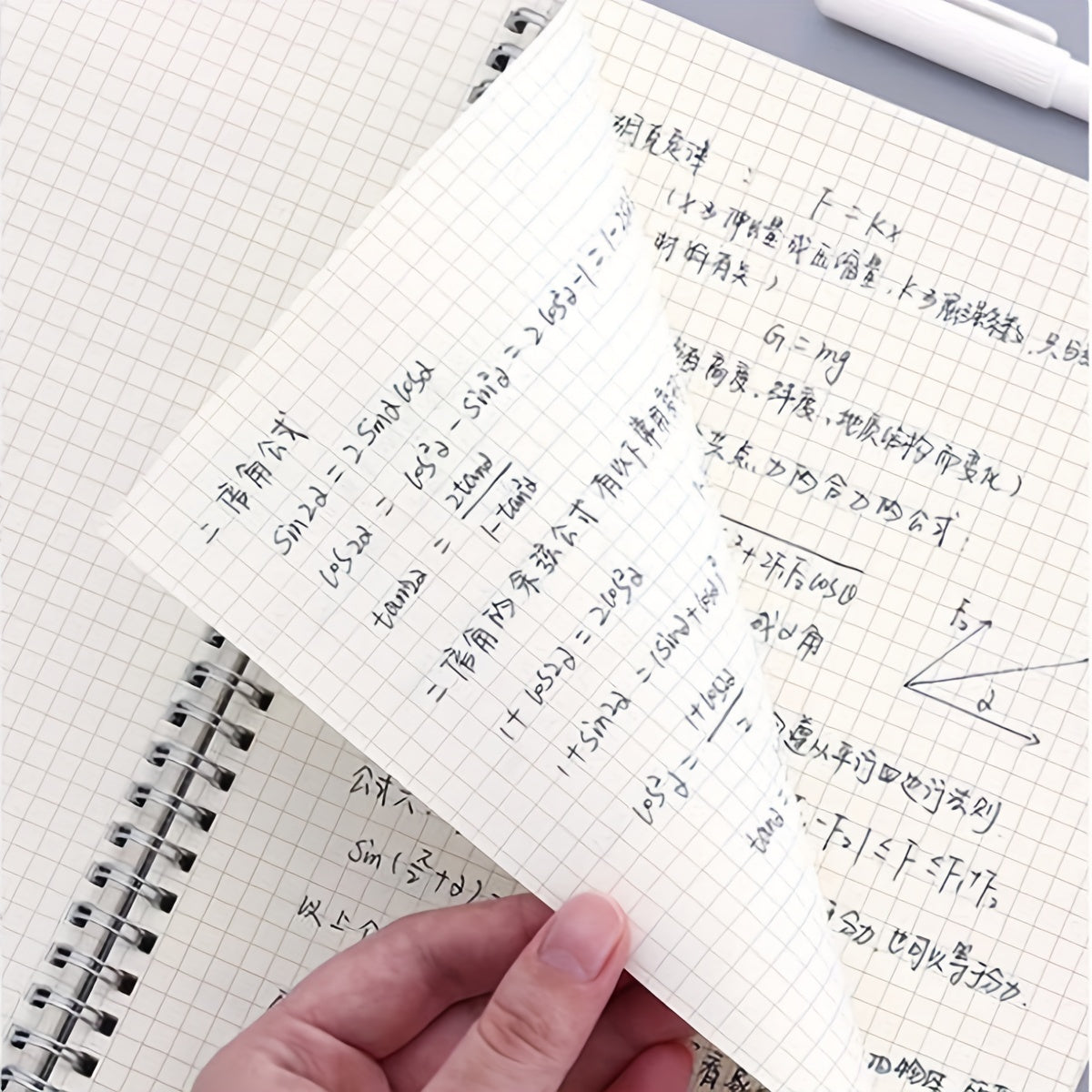 80 Sheet Coil Notebook PP Cover Horizontal Line Grid Inner Page Spiral Hardcover