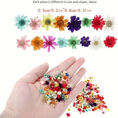 140pcs DIY Dry Flowers Handcraft Decoration Material