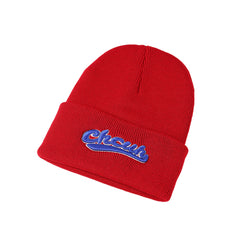 Men's Letter Embroidery Knitted Hat Warm Ear Protection Sports Hat