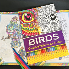 Colorful DIY Drawing Book for Student and Adult