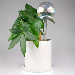 4pcs Rainbow Gradient Glass Self Watering System Spikes Aqua Globes