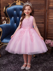 Girls Sleeveless Puffy Princess Dress Flowers Embroidery Tulle Tutu Dress