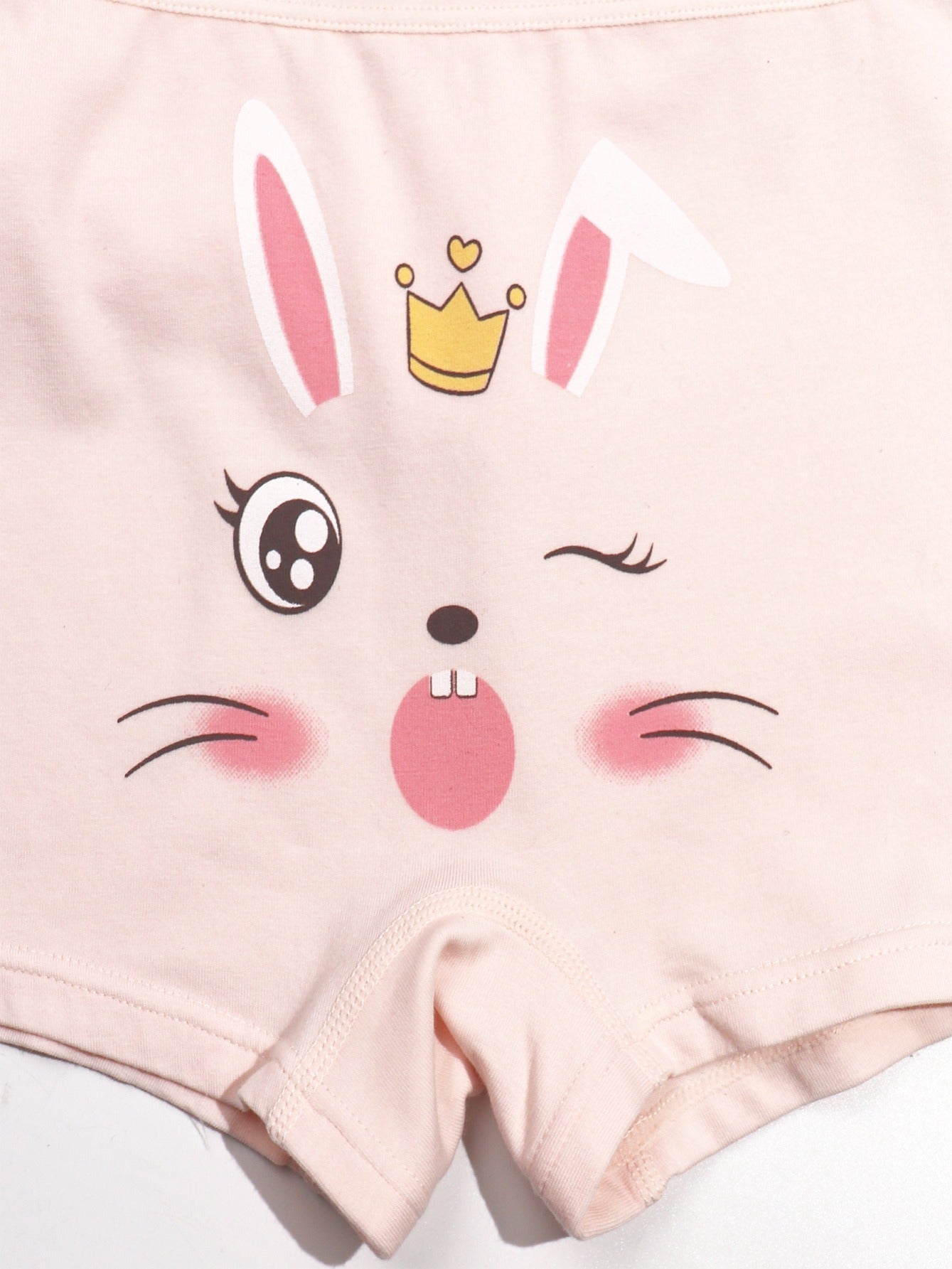 5pcs Girls Boyshorts Panties with Cartoon Graphic Underwear Set