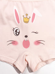 5pcs Girls Boyshorts Panties with Cartoon Graphic Underwear Set