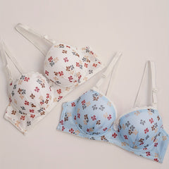 2pcs Bow Print Push Up Bras Lace Trim Bra Women's Lingerie