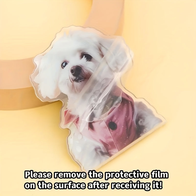 img_6607447