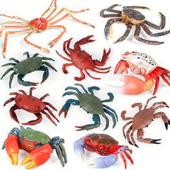 Red Crab Sand Crab King Crab Spider Crab Toy