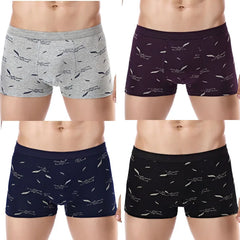 img_2580840