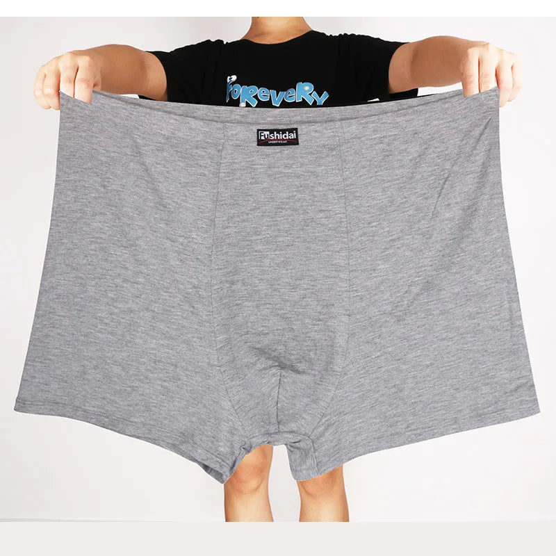 img_2379855
