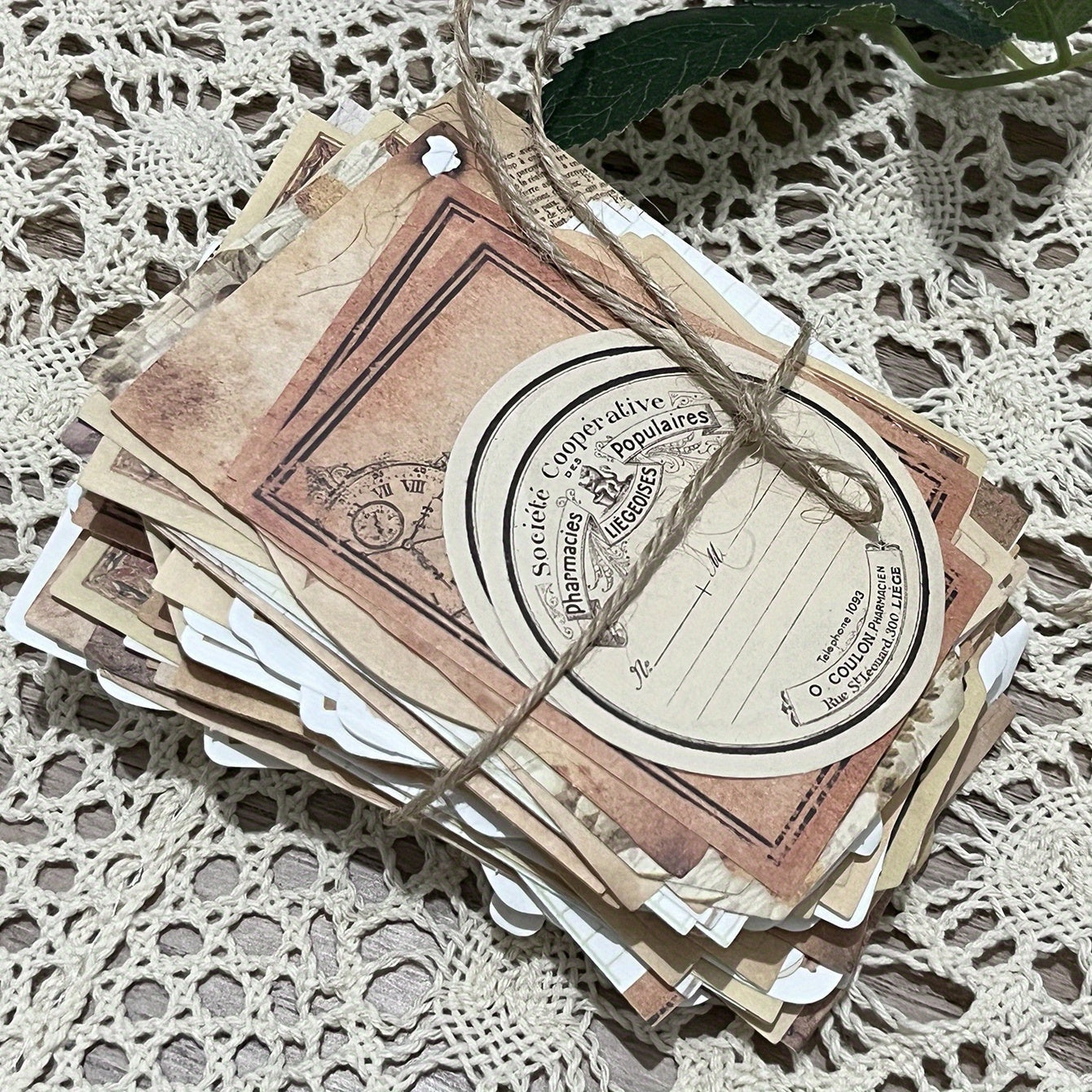 100pcs Retro Plant Border Collage Decoration DIY Paper