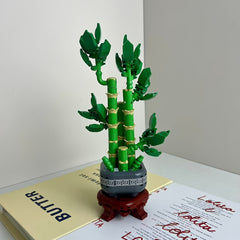 Artistic Bonsai Money Tree Blocks Home Decor
