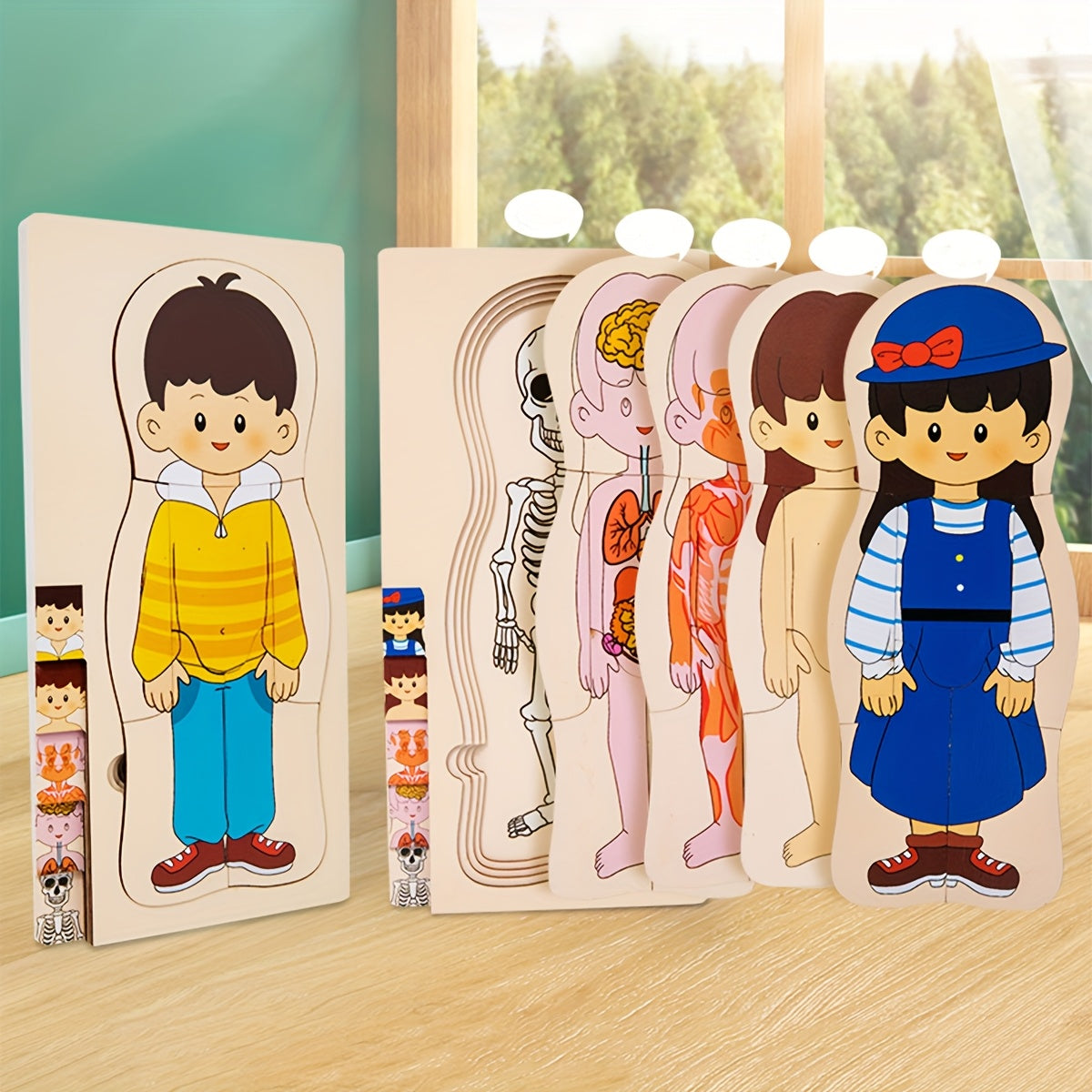 Boys & Girls Human Body Wooden Puzzle Science Toy