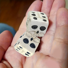 Skull Dice Board Game Toy for Halloween Cosplay Parties