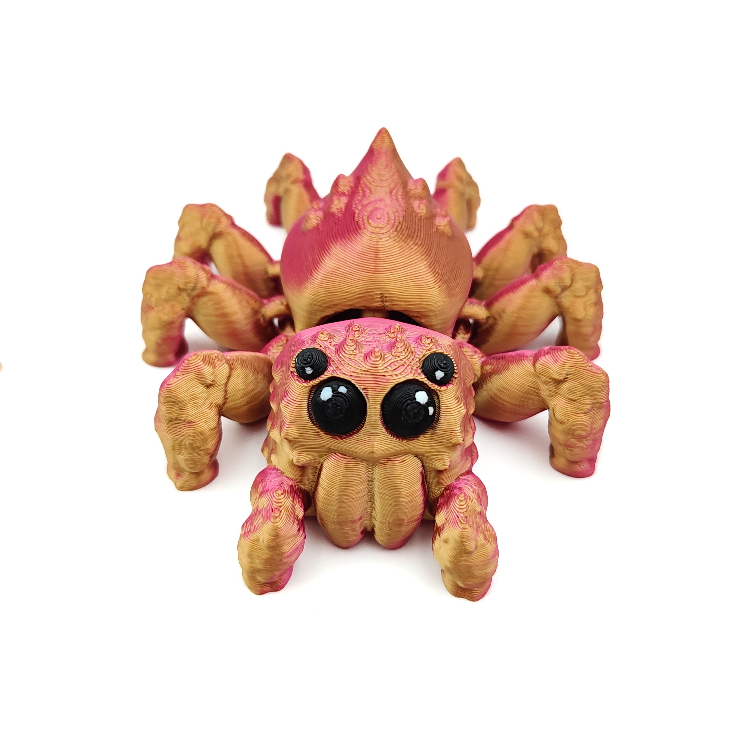 3D Printed Spider Articulated Joint Animal Model