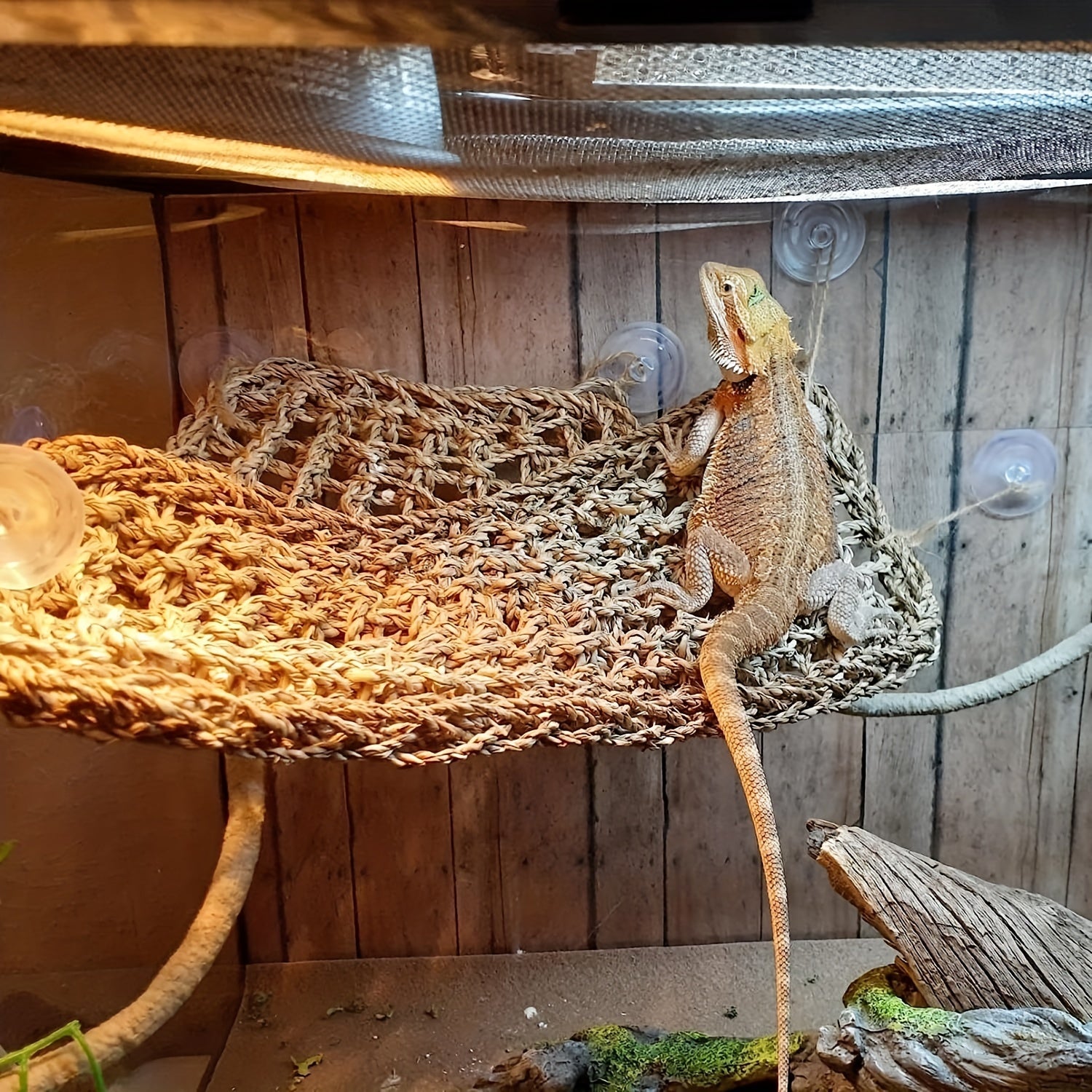 Large Lizard Lounger Hammock for Reptiles, Chameleons, and Bearded Dragons