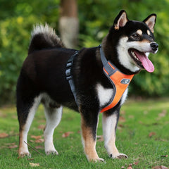 Reflective Breathable Pet Harness Adjustable Soft Oxford Material