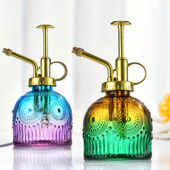 Glass Plant Mister Stylish Spray Bottle for Plants & Cleaning