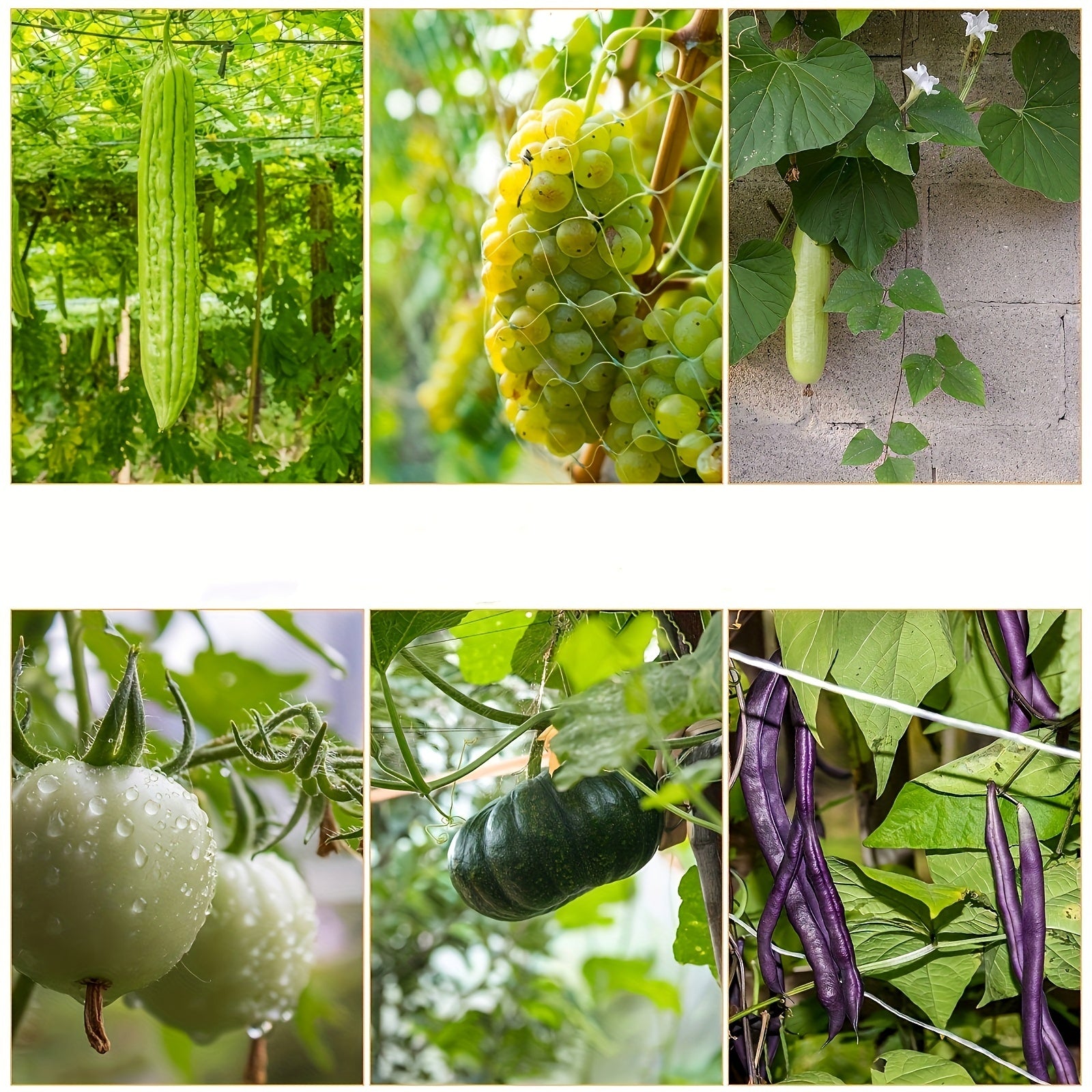 Polyester Pergola for Climbing Plants DIY Net Garden Plant Support